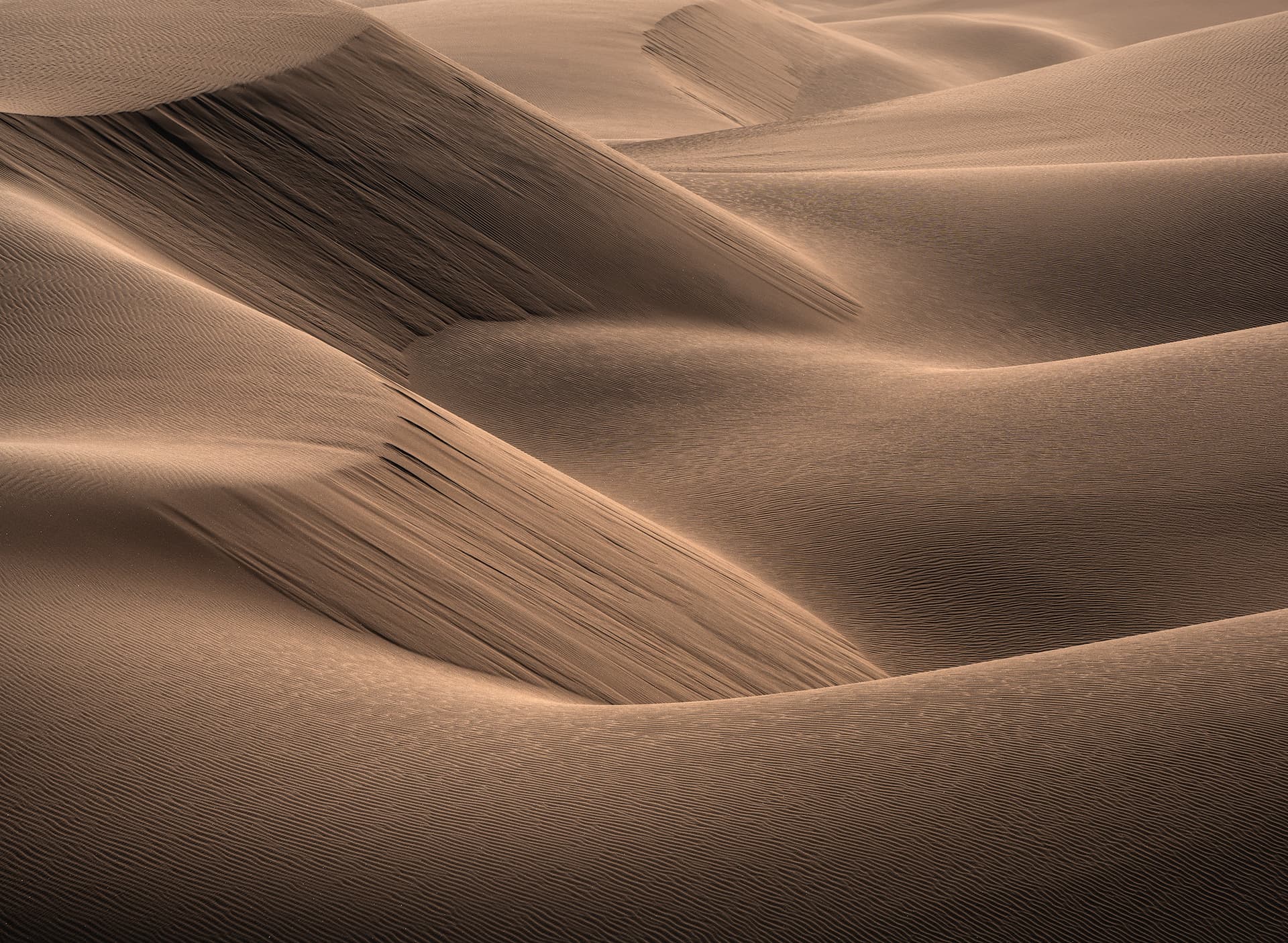 Bronze Desert