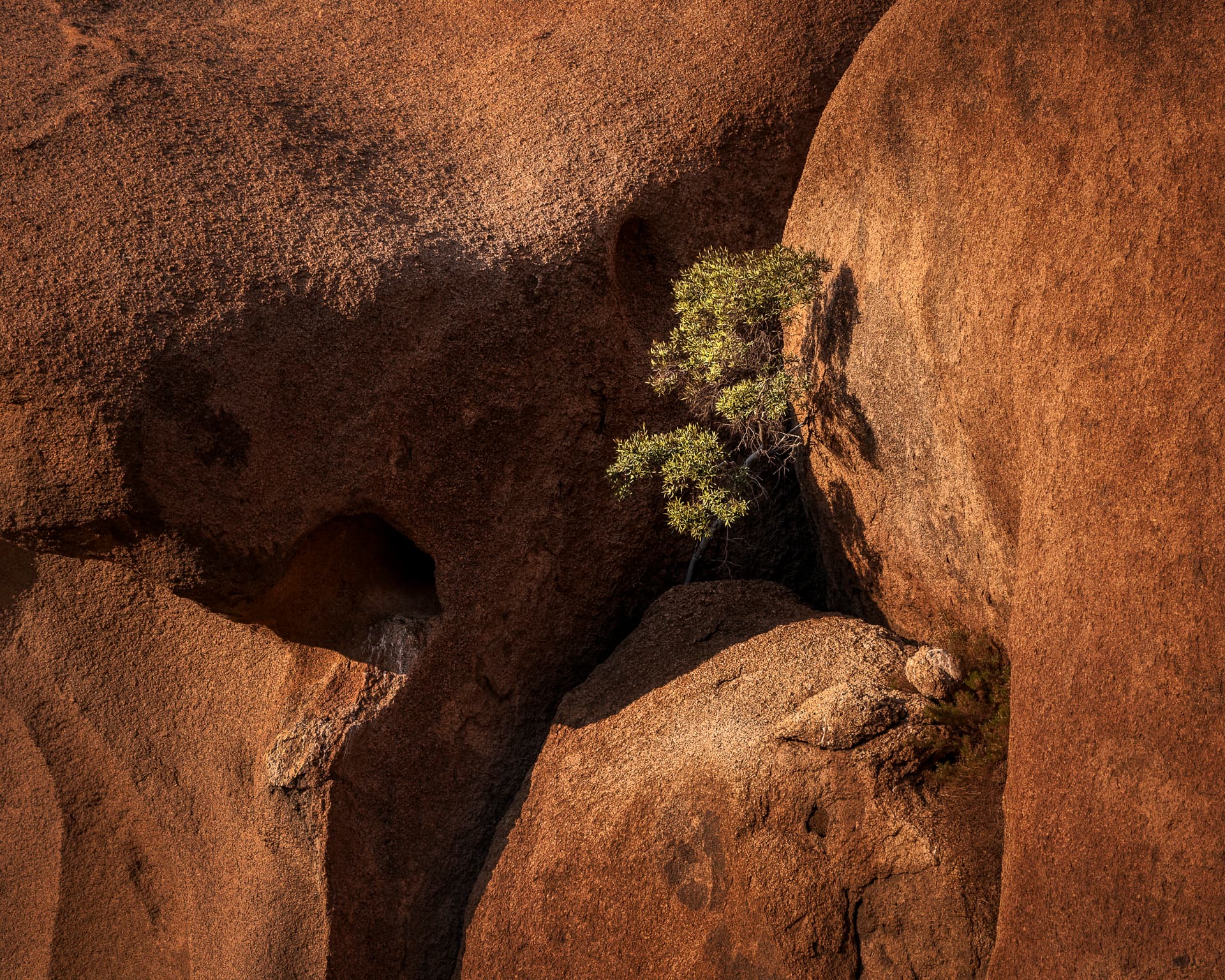 Cradle of Rock