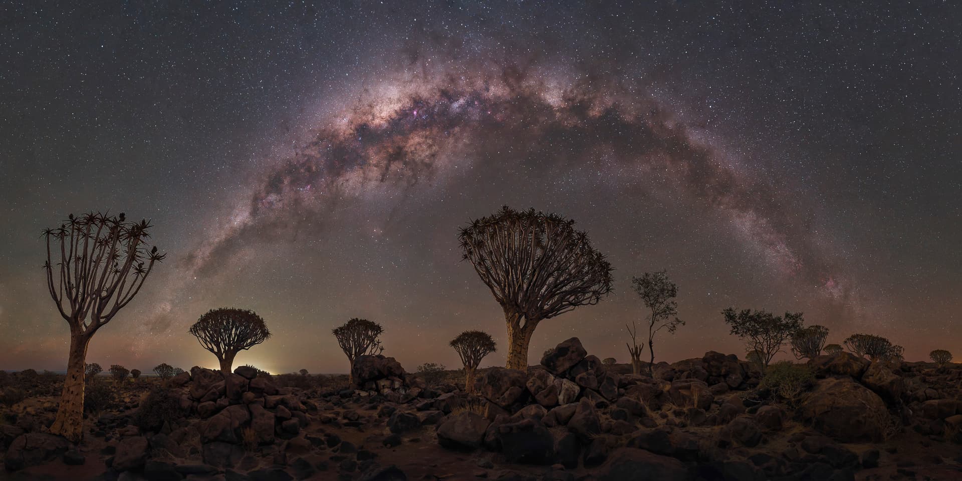 Namibian Nightwatch