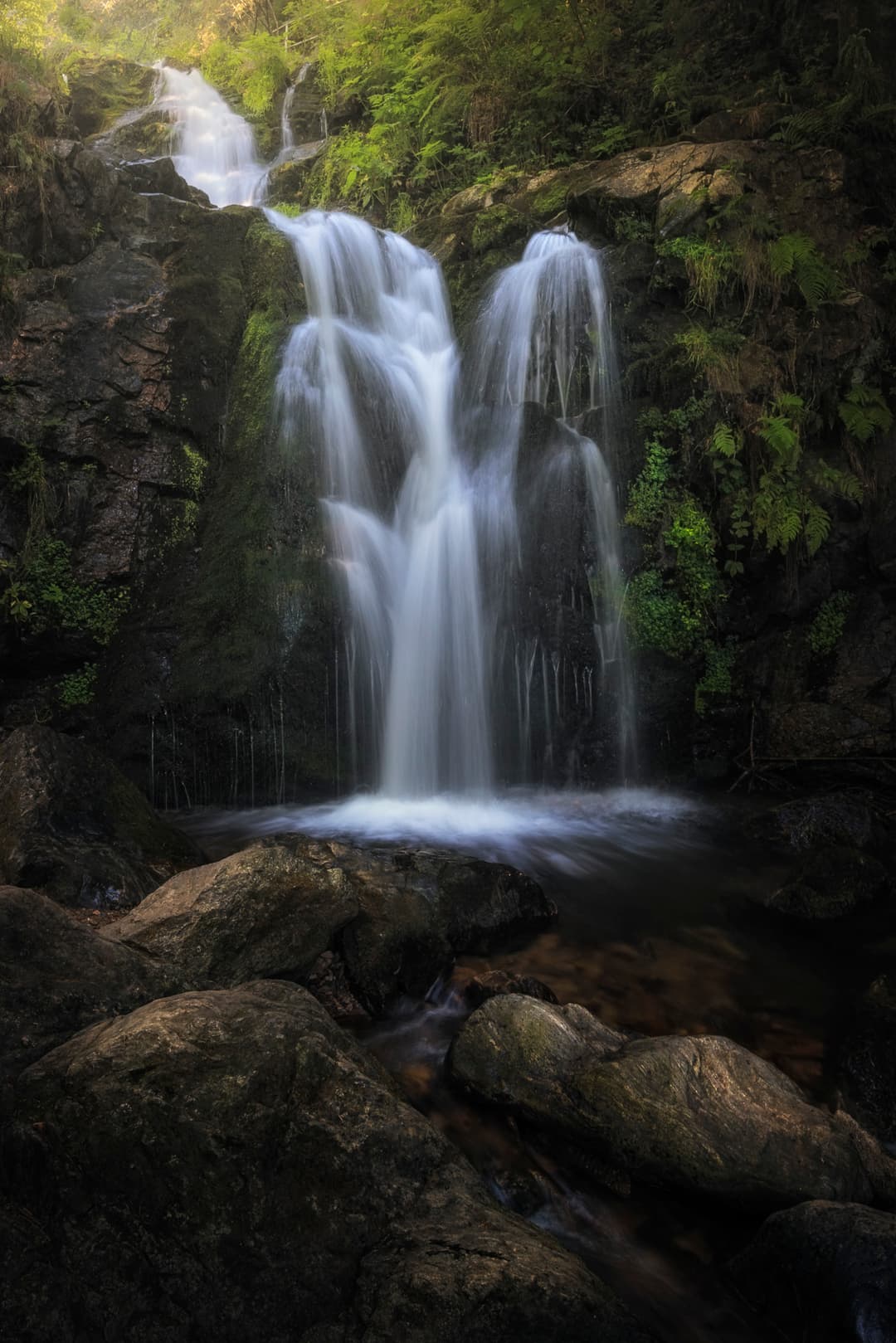 Whispers of the Glen